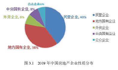 圖 3.1 2019 年中國(guó)房地產(chǎn)企業(yè)性質(zhì)分布