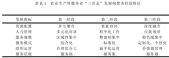 表 6.1 農(nóng)業(yè)生產(chǎn)性服務業(yè)“三步走”發(fā)展構(gòu)想各階段特征