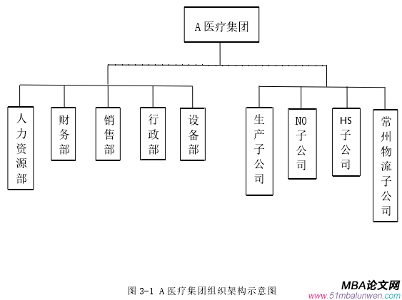 圖 3-1 A 醫(yī)療集團組織架構(gòu)示意圖